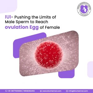 Pushing the Limits of Male Sperm to reach ovulation Egg of Female